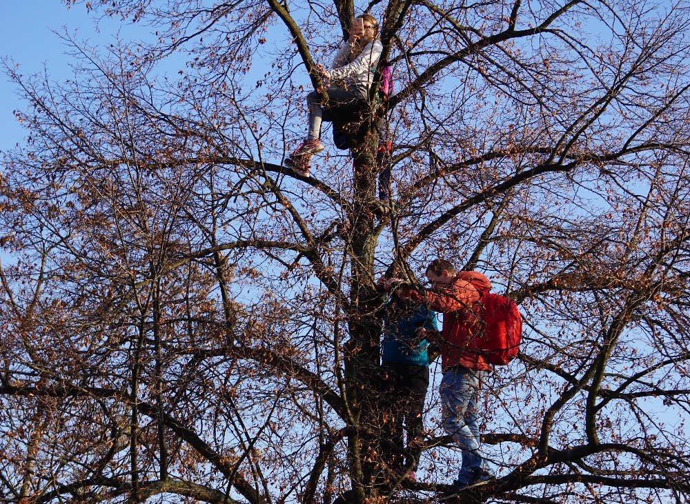 Ausblickspunkte konnten in den entlaubten Bäumen gefunden werden. Foto: K. Kountouroyanis