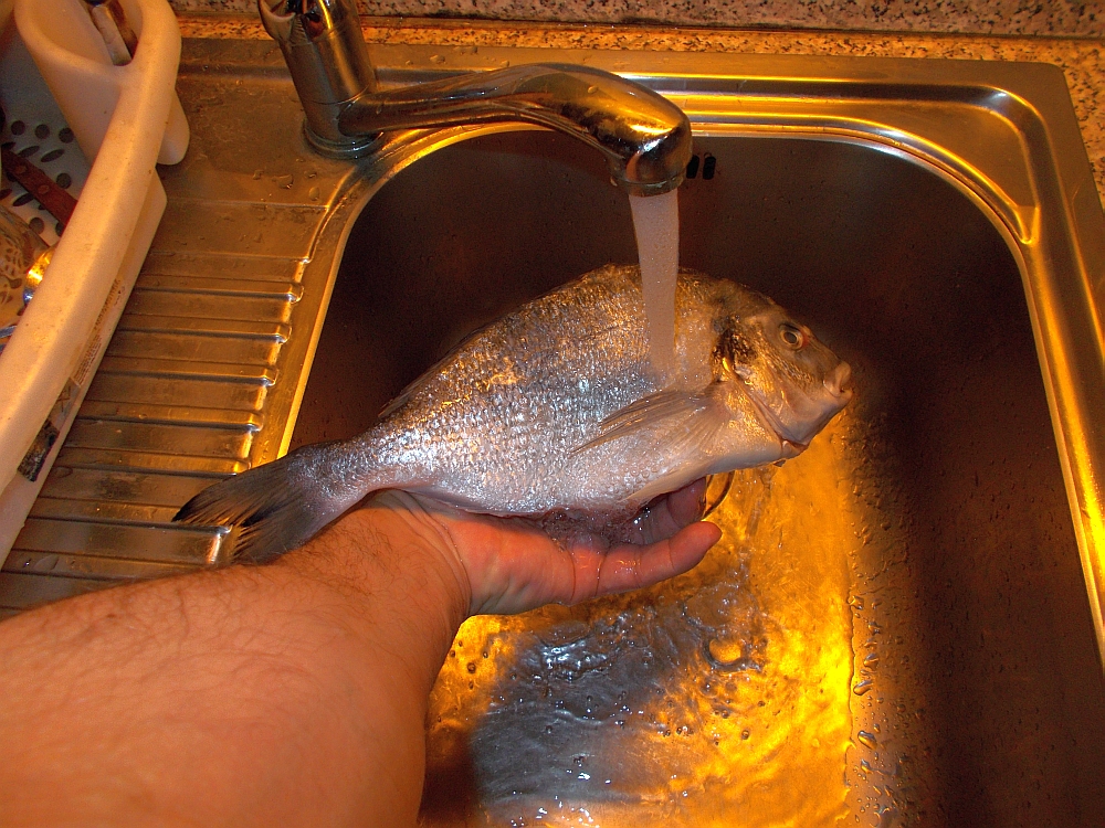 Auch wenn der Fisch entschuppt wurde; Spülen Sie den Fisch mit kaltem Wasser ab!