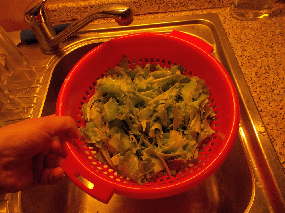 Spülen Sie den Salat am besten in einem einfachen Nudelsieb mit kaltem Wasser ab.