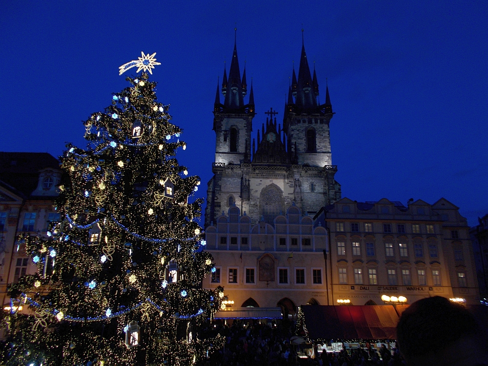 Weihnachtsbaum vor der Teynkirche. Hauptsache es schmeckt. Foto: K. Kountouroyanis