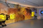 Ausstellung zur prähistorischen Geschichte der Höhle