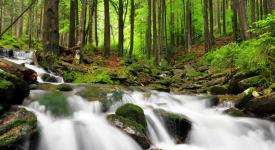 Nationalpark Šumava
